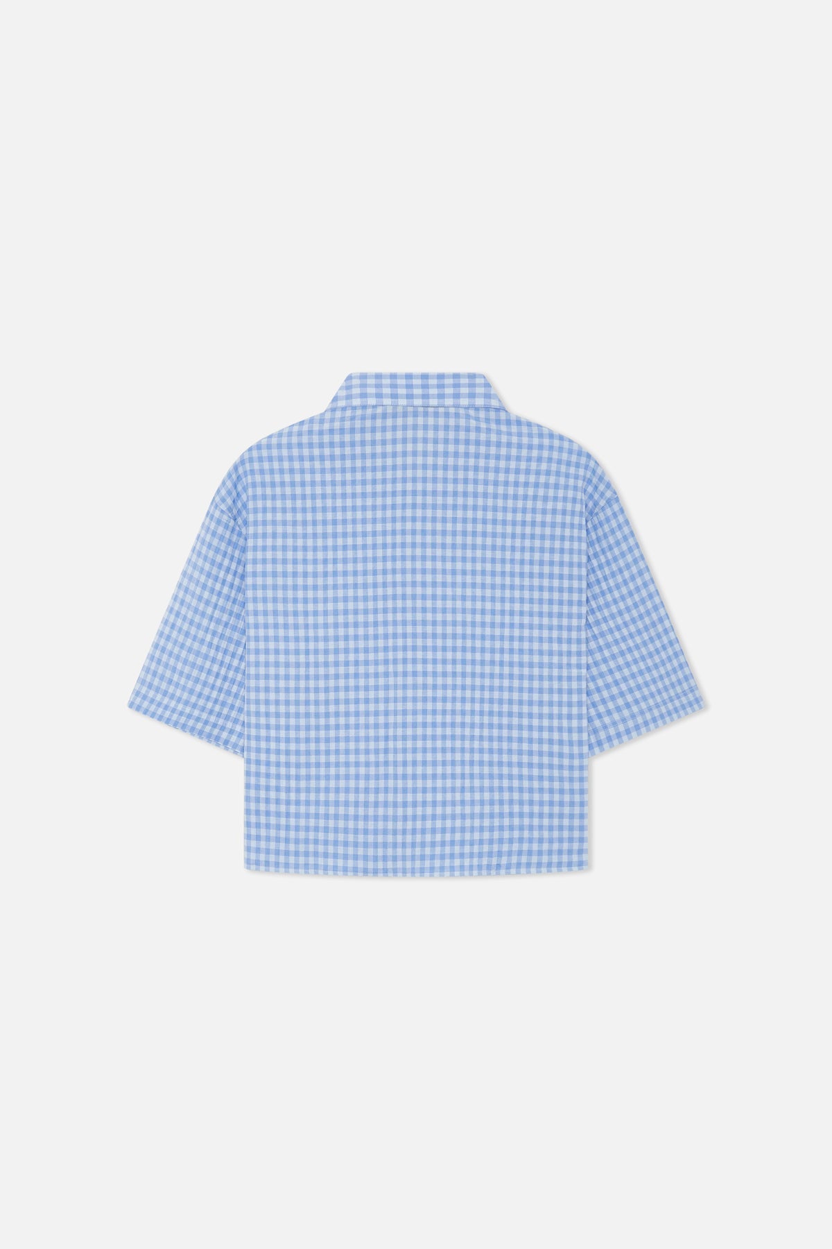 Not LA Yet Blue Checkered Shirt