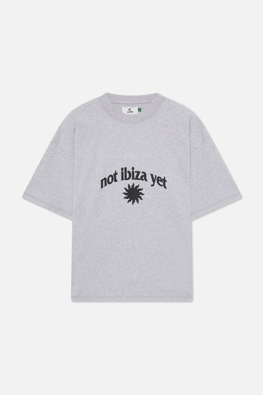 NIY light Grey T-Shirt